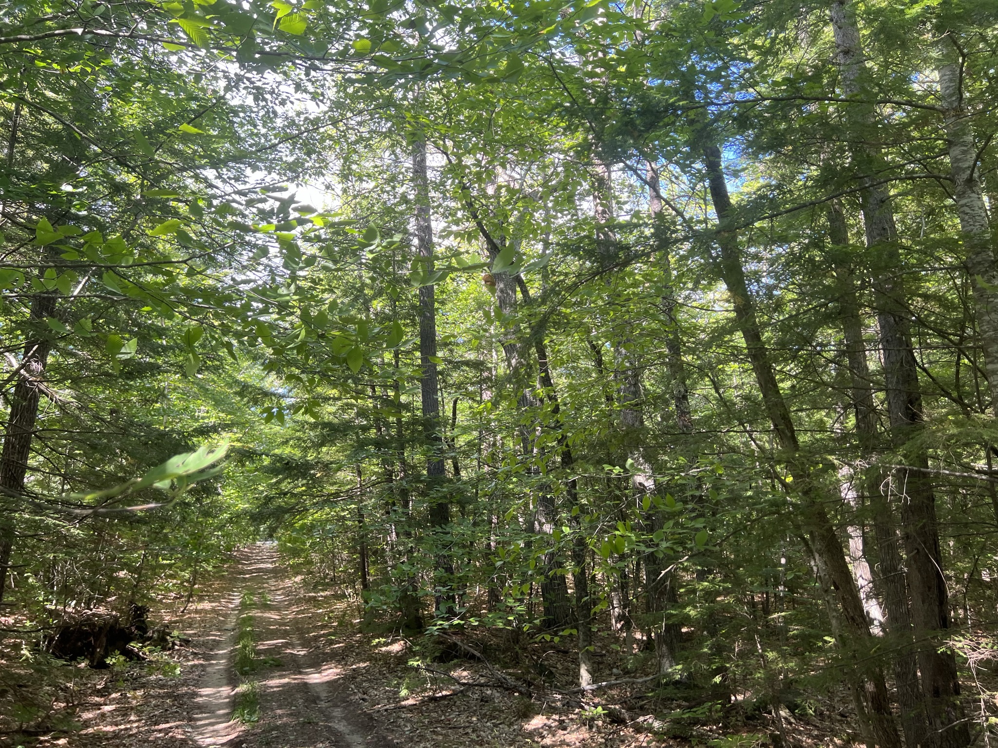 Conway, NH Auction Oct. 15, 2022 NH Tax Deed & Property Auctions