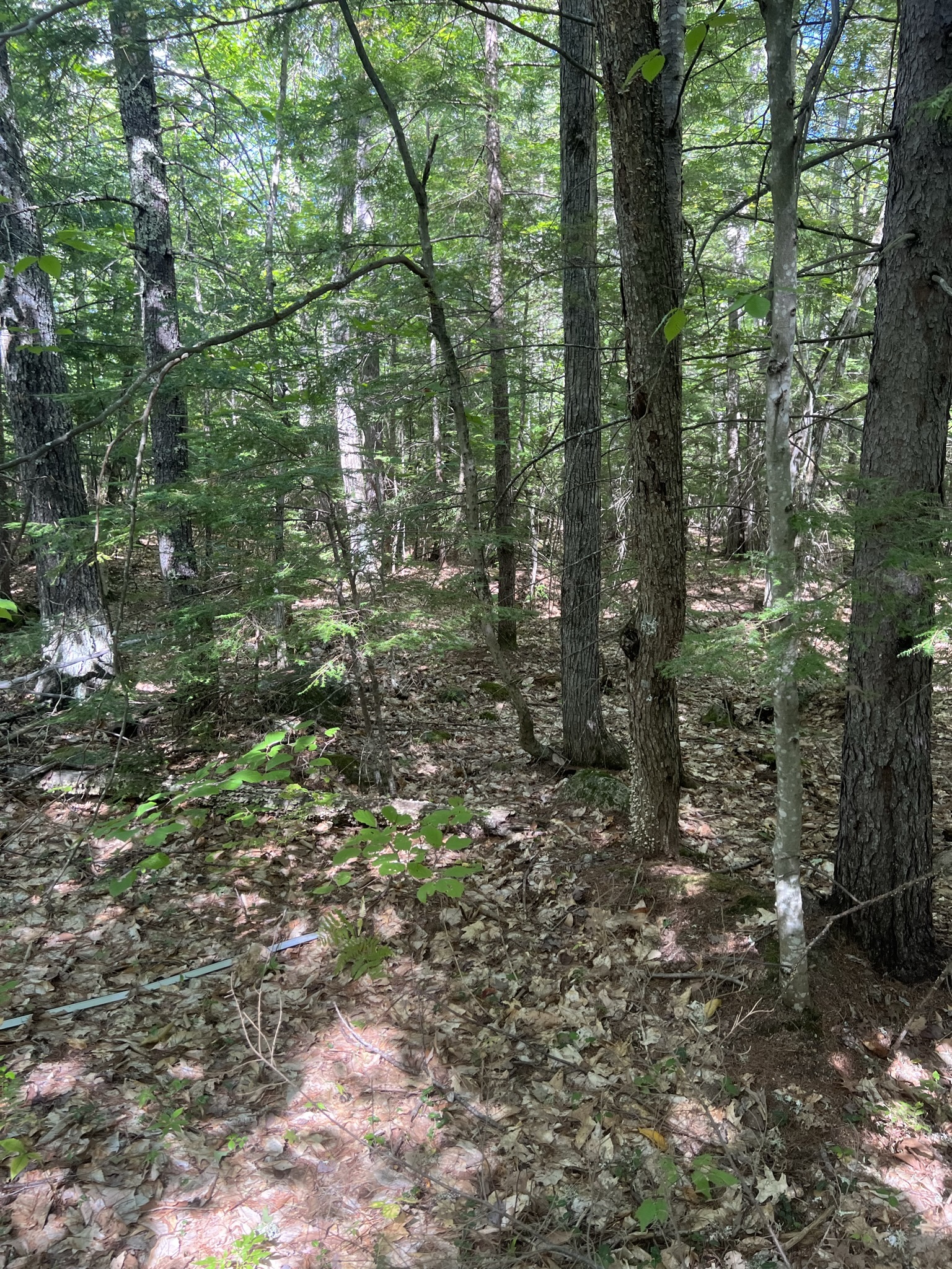 Conway, NH Auction Oct. 15, 2022 NH Tax Deed & Property Auctions