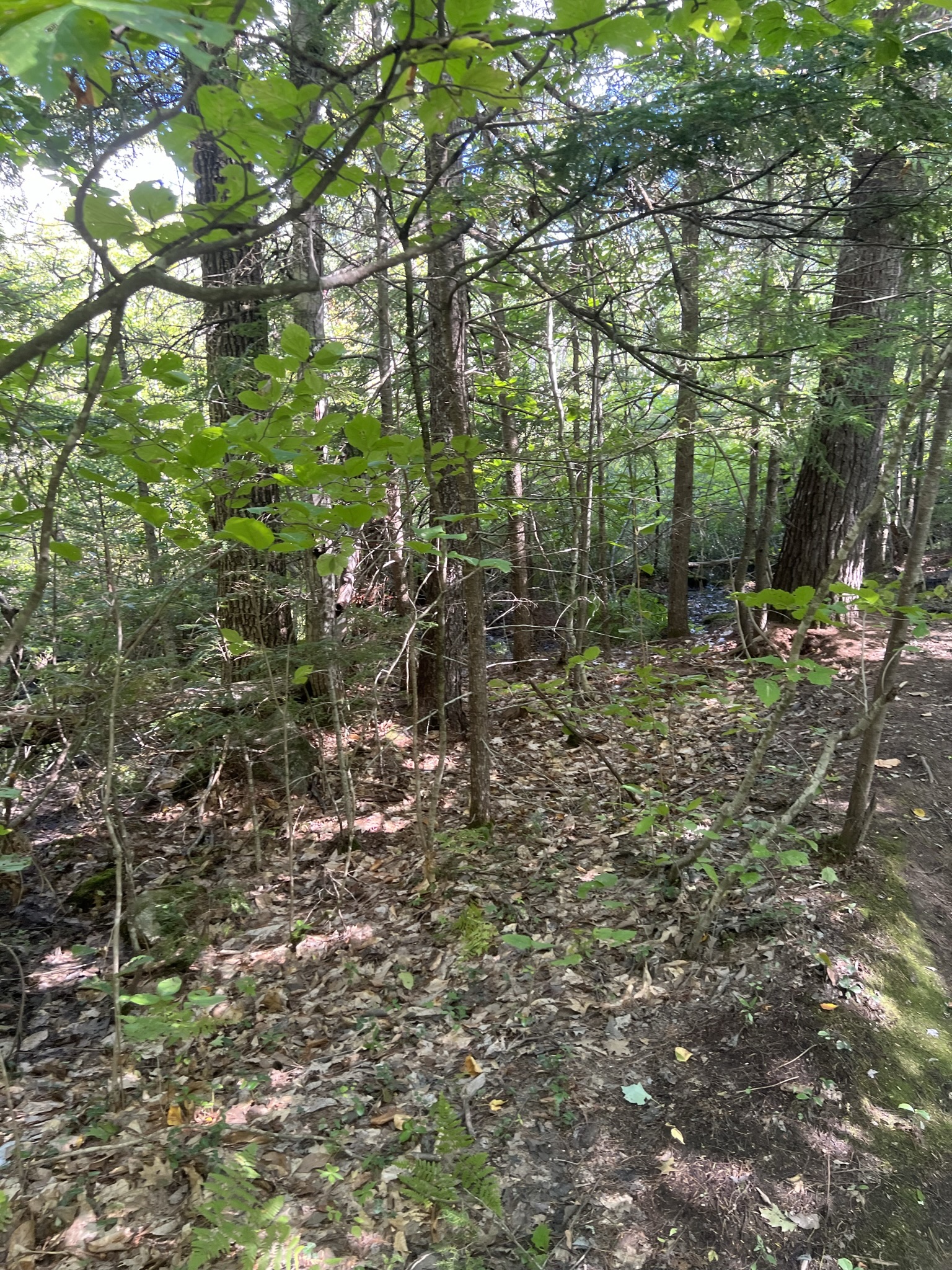 Conway, NH Auction Oct. 15, 2022 NH Tax Deed & Property Auctions