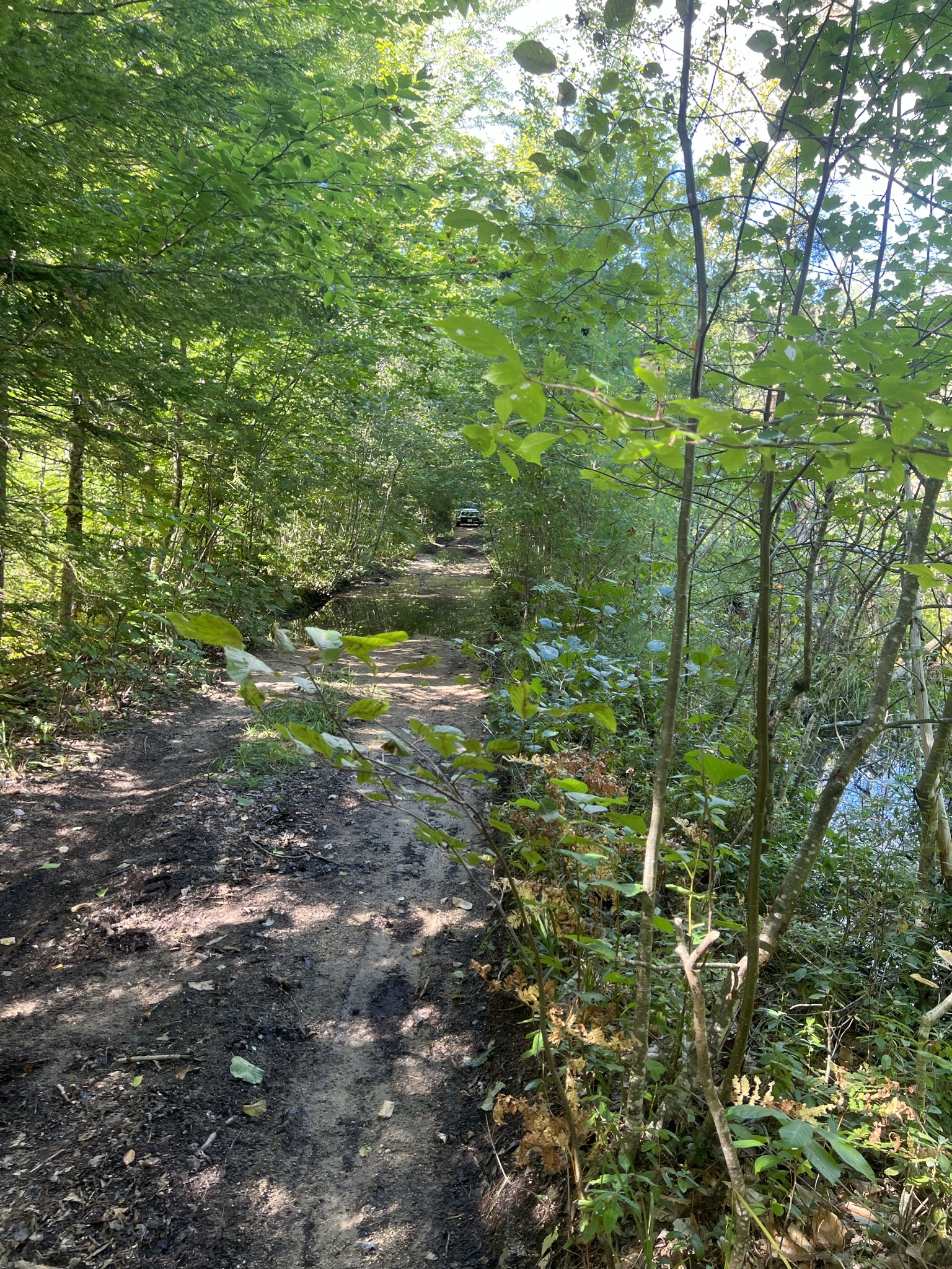 Conway, NH Auction Oct. 15, 2022 NH Tax Deed & Property Auctions