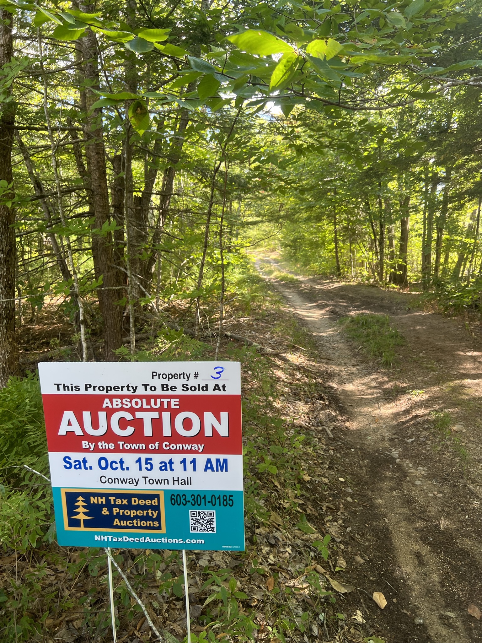 Conway, NH Auction Oct. 15, 2022 NH Tax Deed & Property Auctions