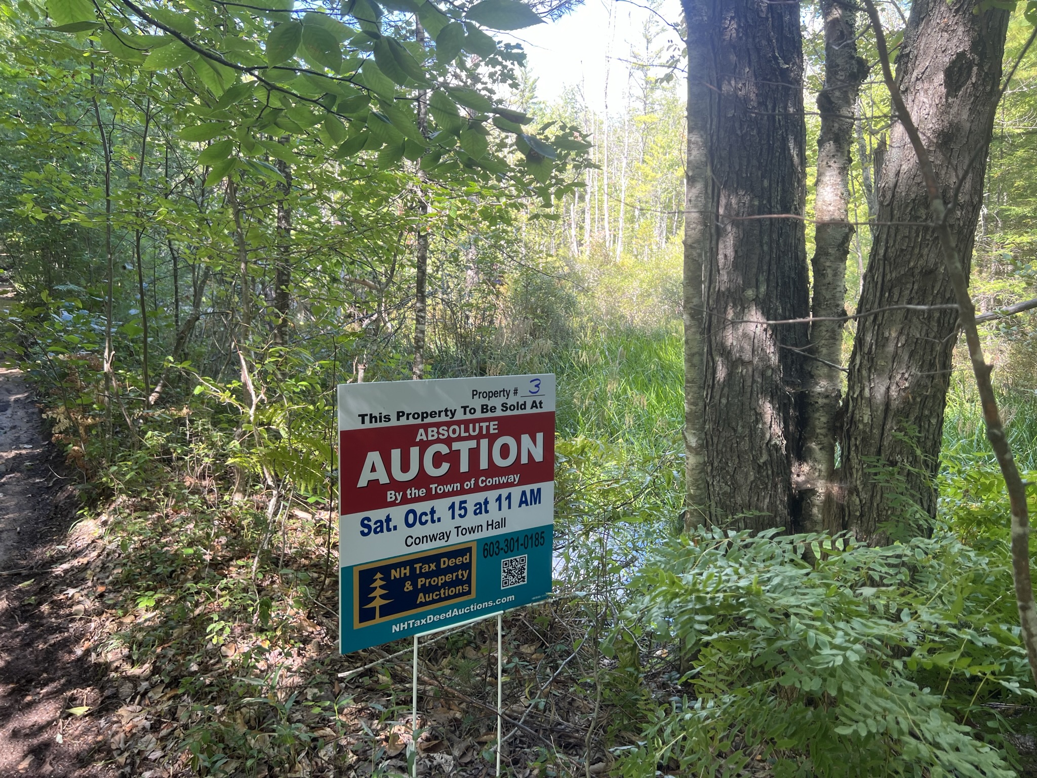 Conway, NH Auction Oct. 15, 2022 NH Tax Deed & Property Auctions