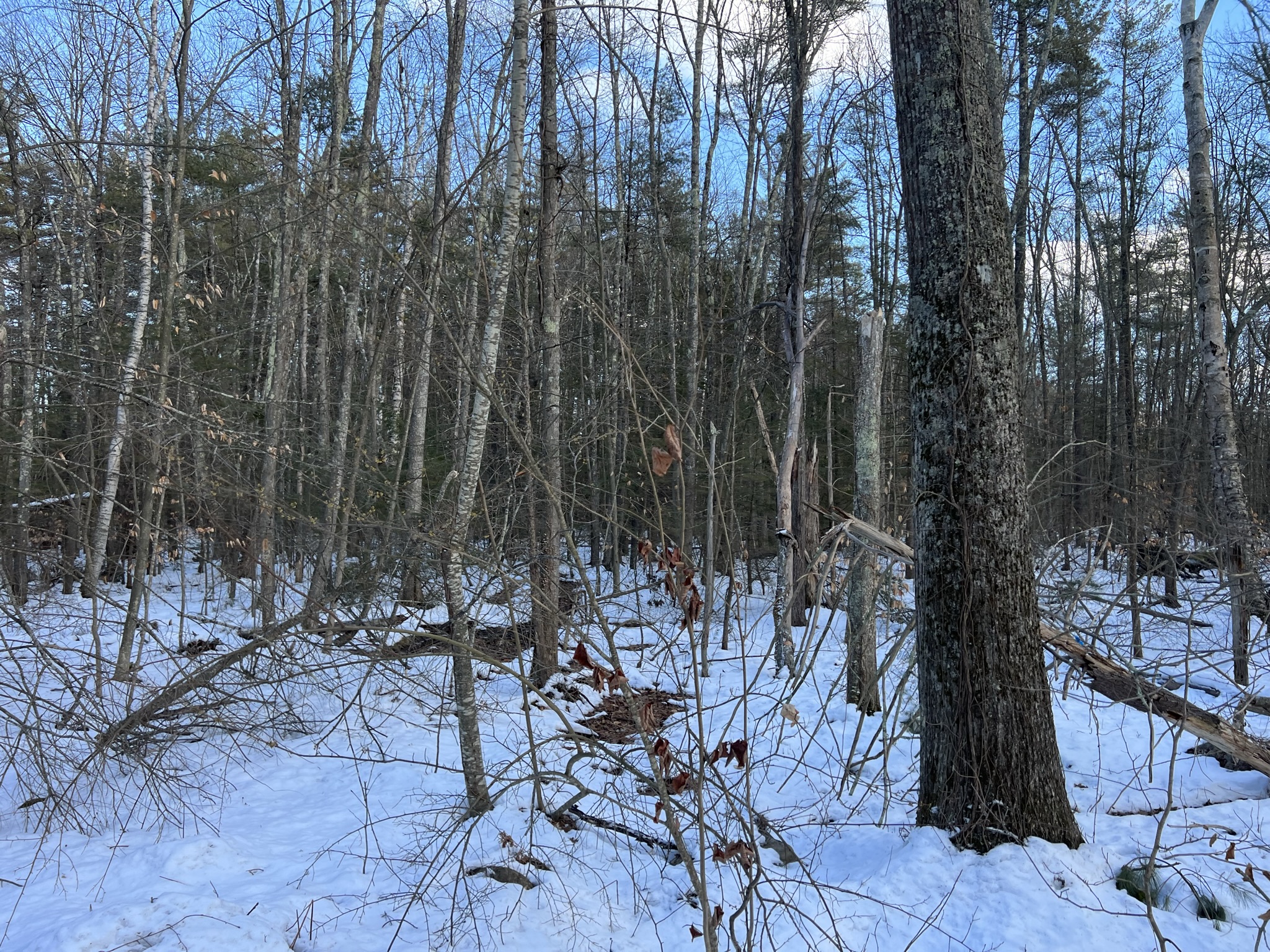 Sandown, NH Auction Mar. 18, 2023 NH Tax Deed & Property Auctions