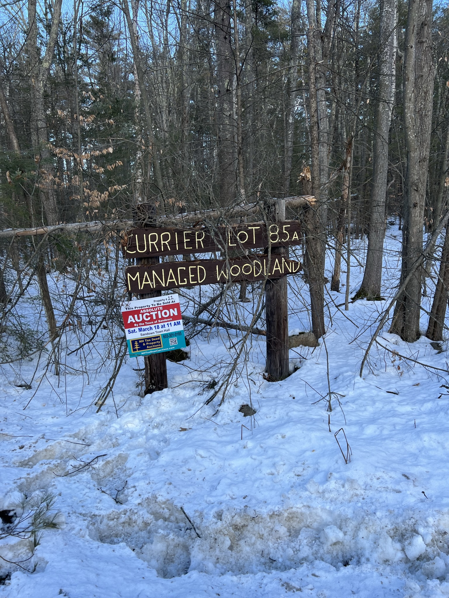 Sandown, NH Auction Mar. 18, 2023 NH Tax Deed & Property Auctions