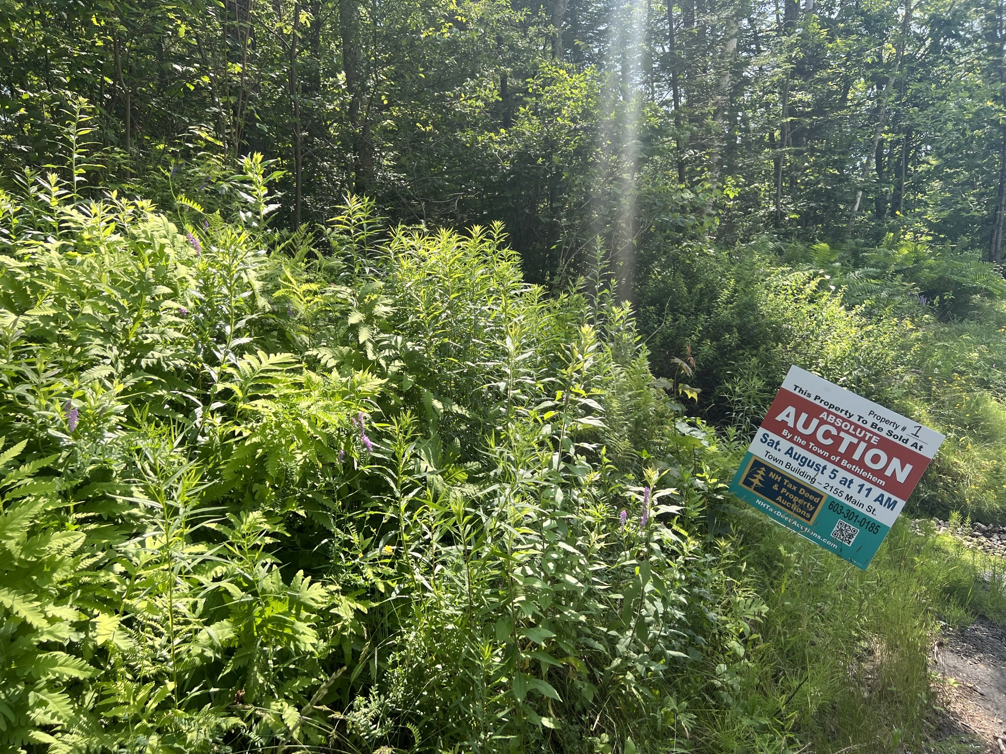 Bethlehem, NH Auction Aug. 5, 2023 NH Tax Deed & Property Auctions