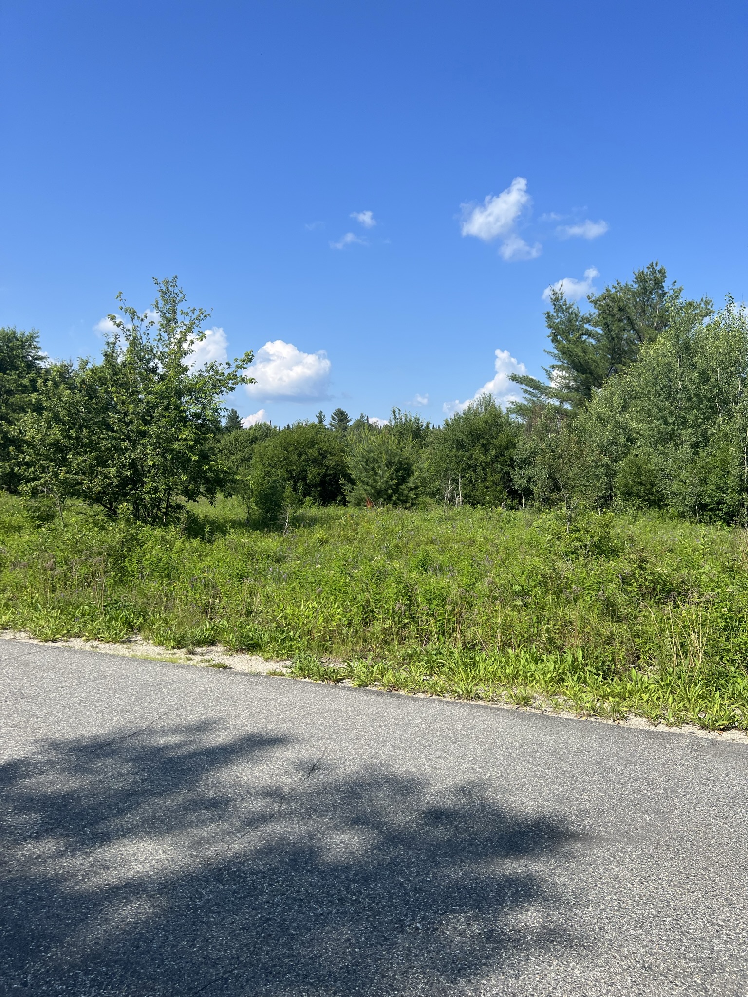 Bethlehem, NH Auction Aug. 5, 2023 NH Tax Deed & Property Auctions