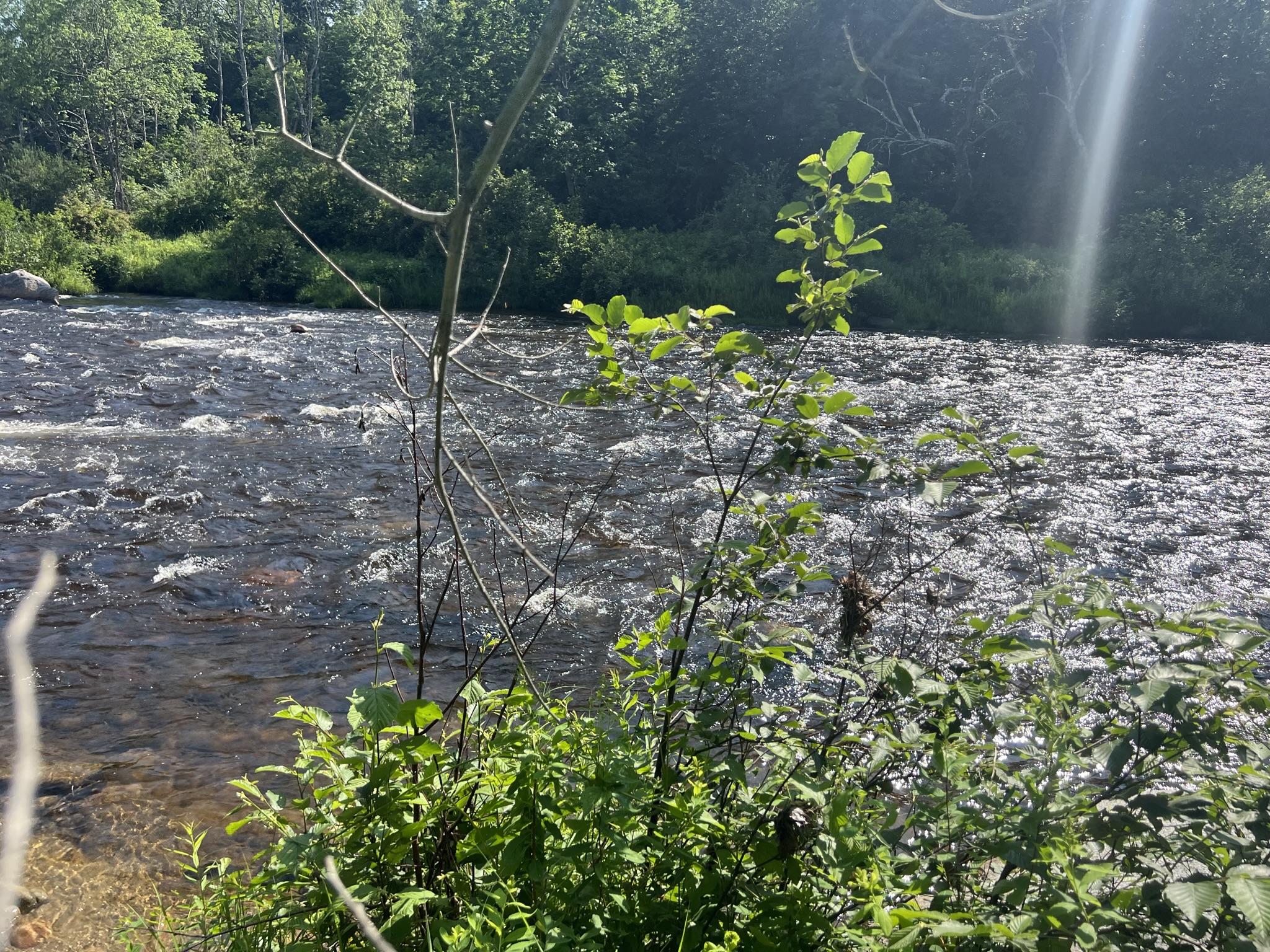 Bethlehem, NH Auction Aug. 5, 2023 NH Tax Deed & Property Auctions