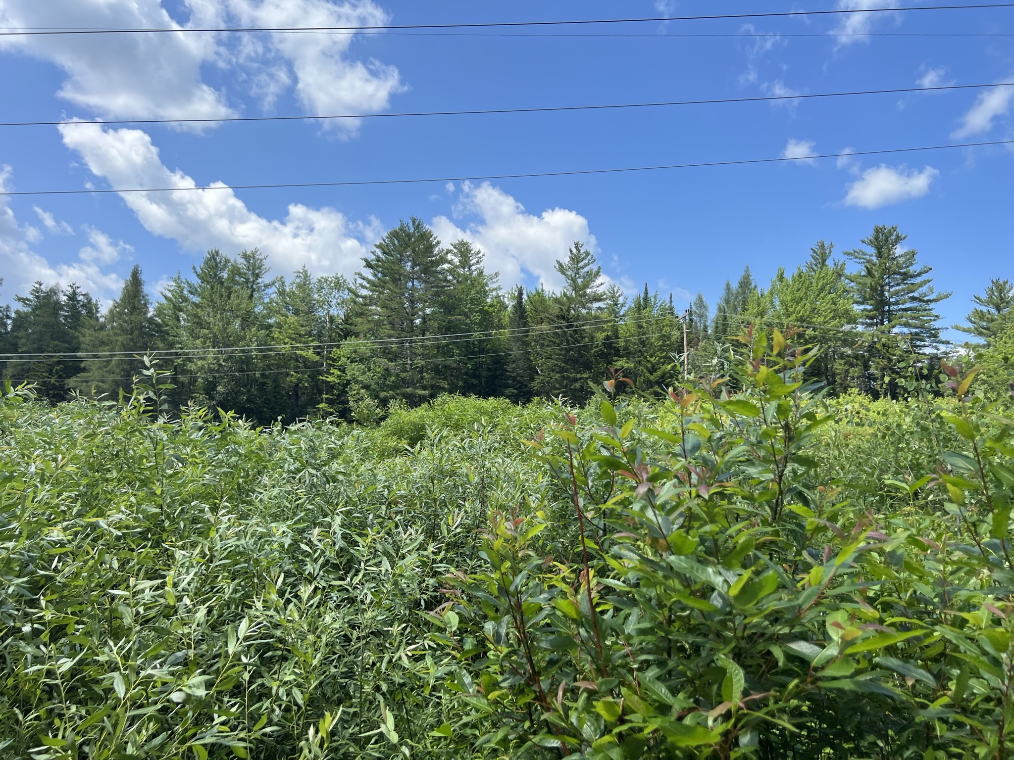 Bethlehem, NH Auction Aug. 5, 2023 NH Tax Deed & Property Auctions