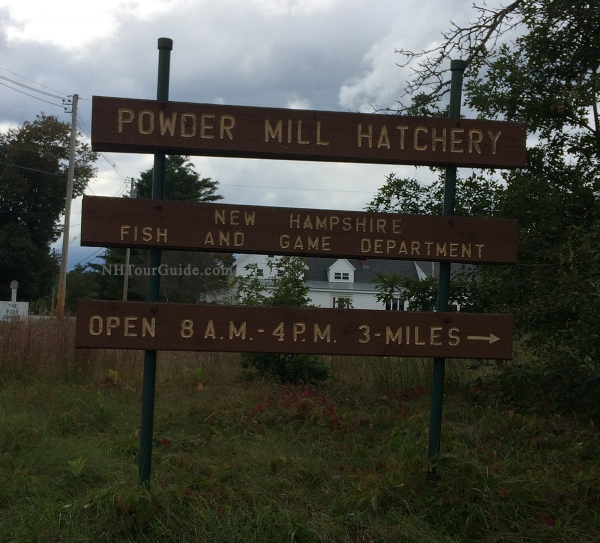 Powder Mill Fish Hatchery New Durham NH NH Attractions for People