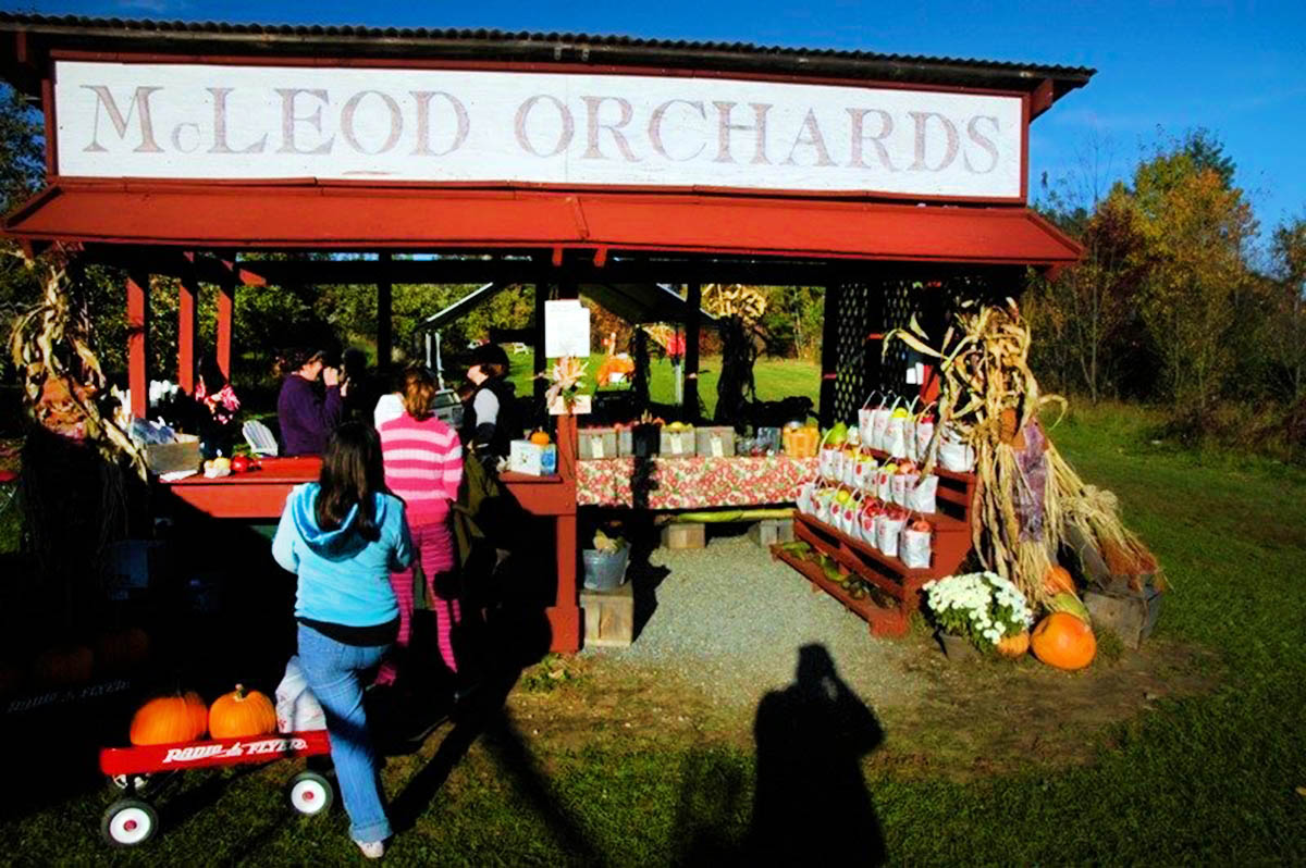 McLeod Brothers Orchards in Milford NH Apple Orchards