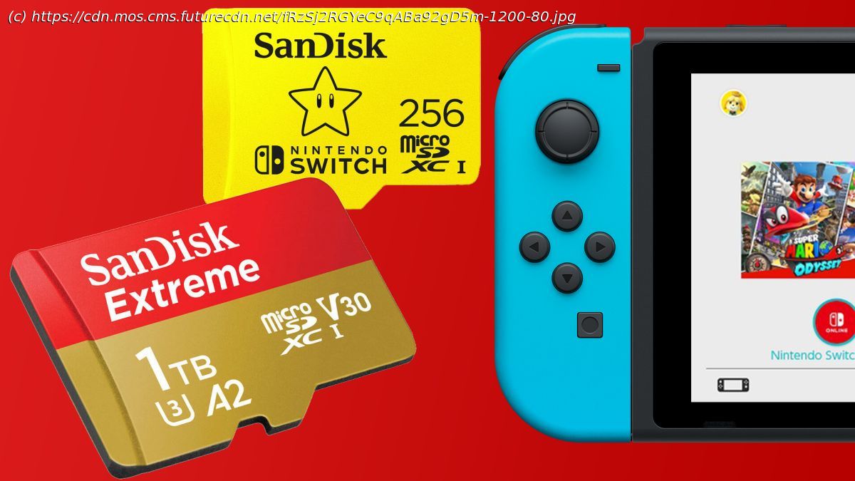 The best SD cards for Switch for 2023 NewsHub