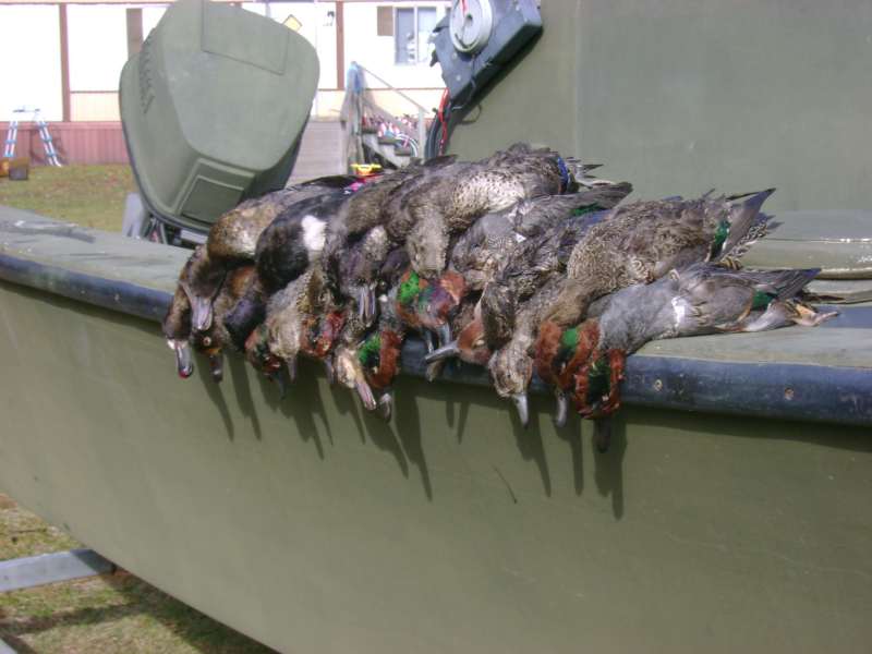 Photos Duck Waterfowl Hunting Guide Hyde County NC Pamlico Sound Lake