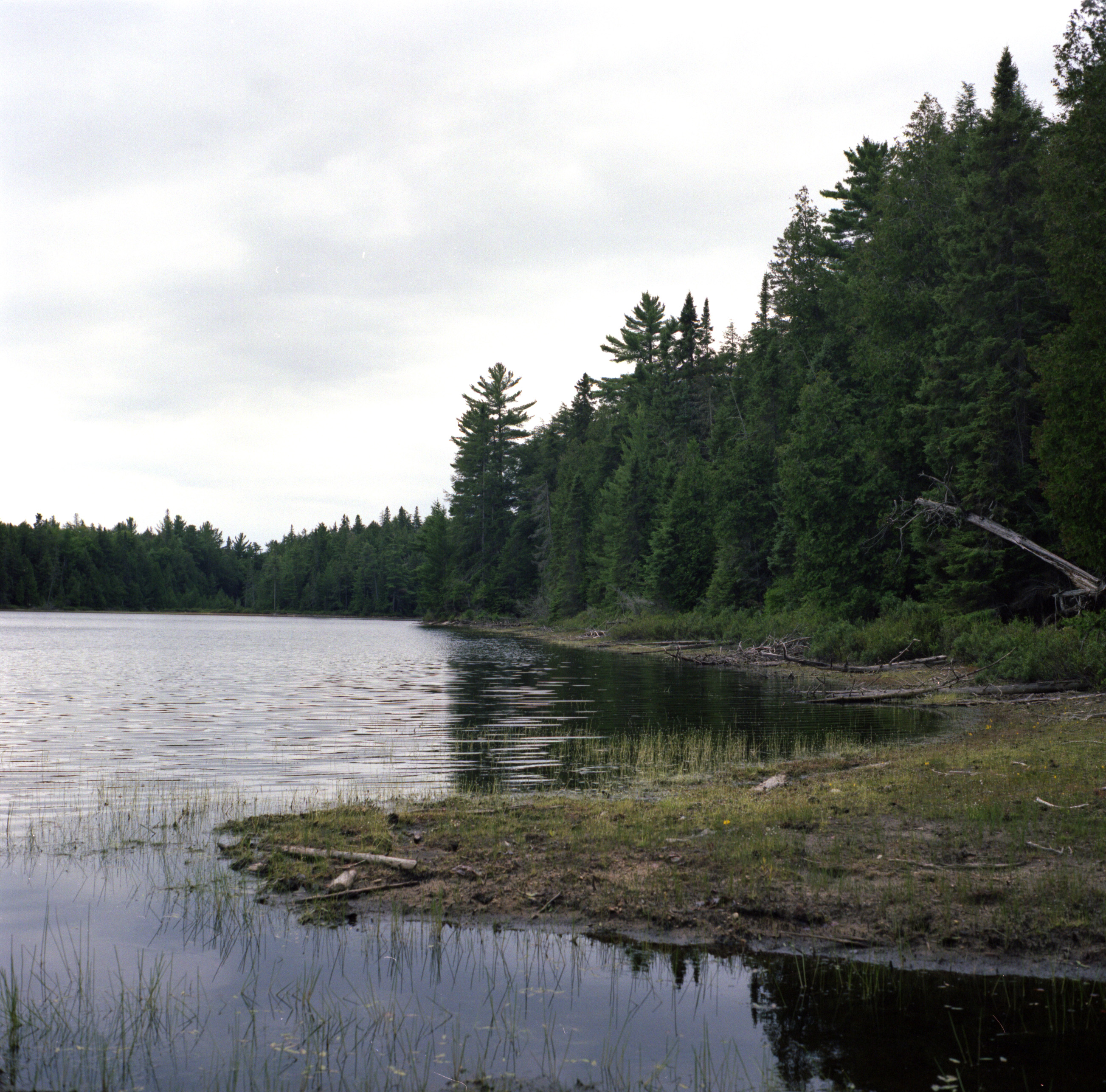 TRAVEL Crown Land, Amazing and Free! Niagara Buzz Niagara News