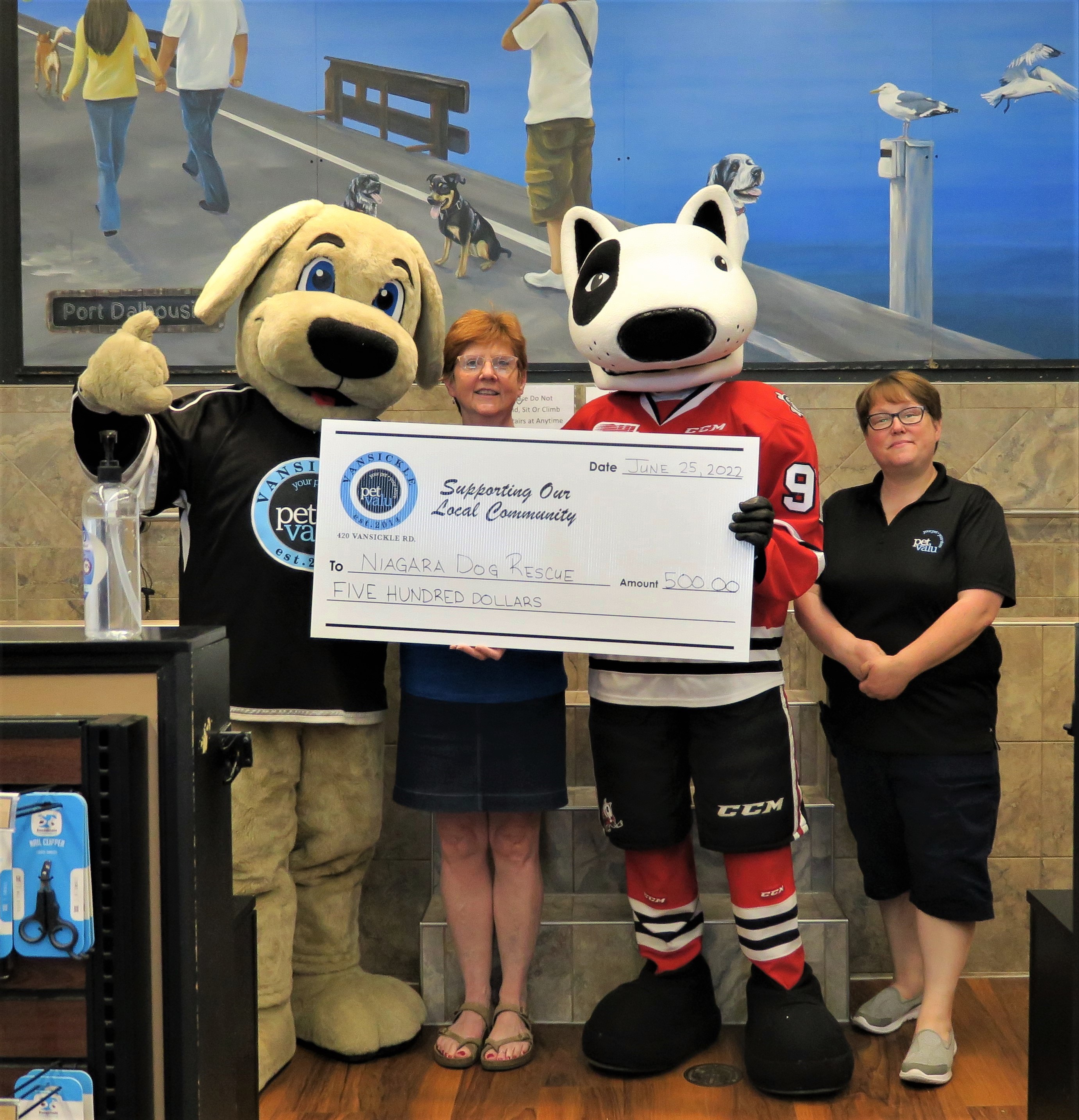 Bones Mascot Showdown Niagara Dog Rescue Adopt, Foster, Suppport