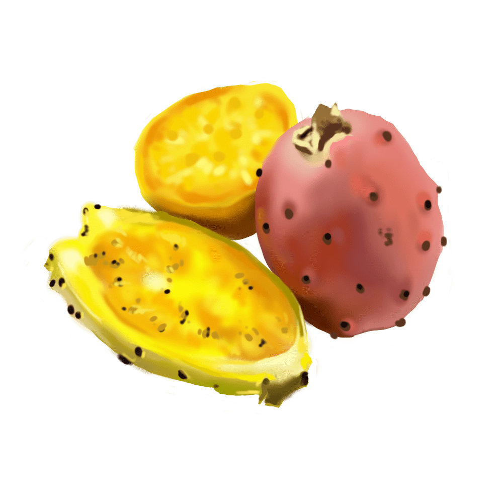 Cactus Pear Oil Niance