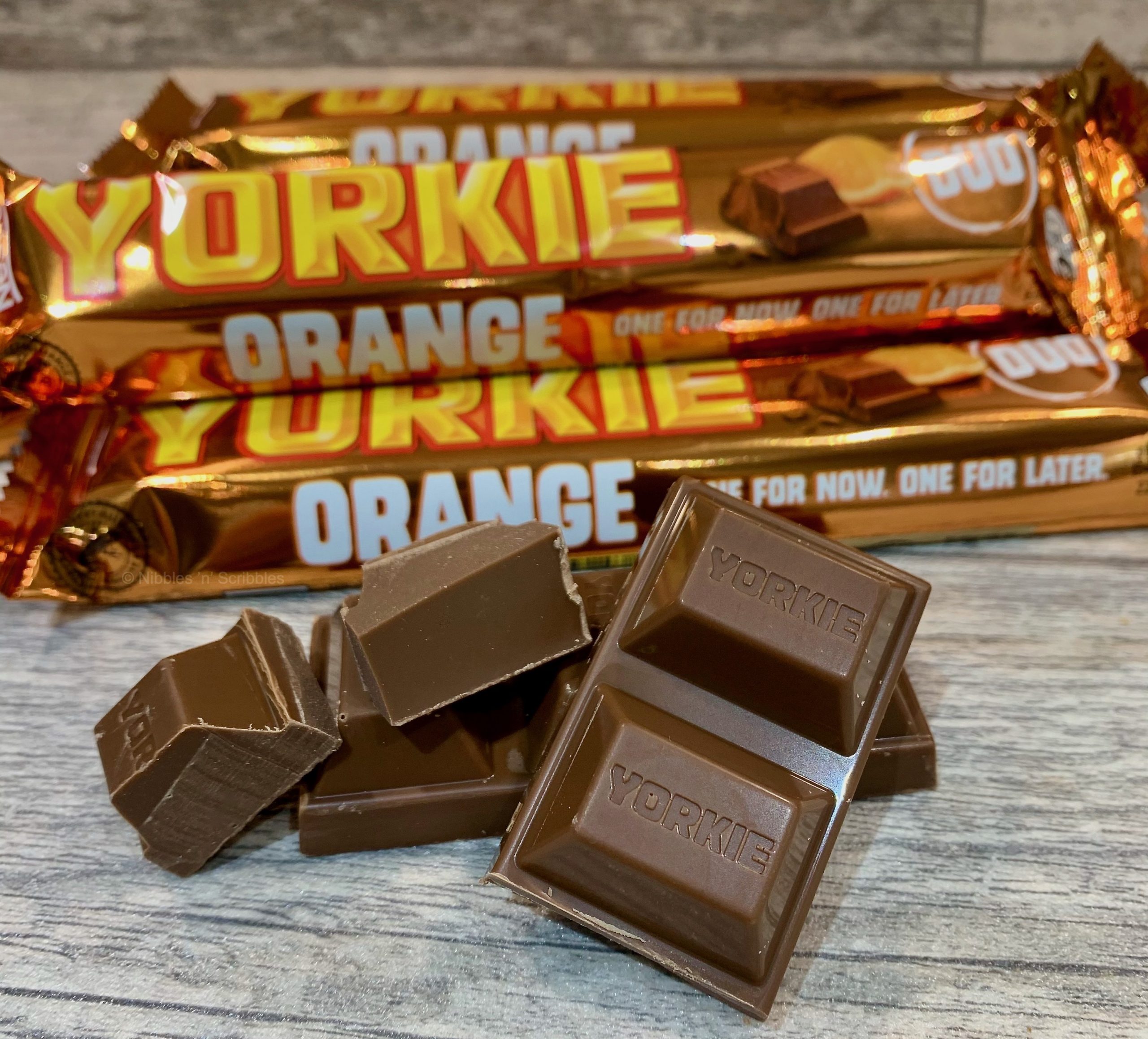 Limited Edition Yorkie Orange