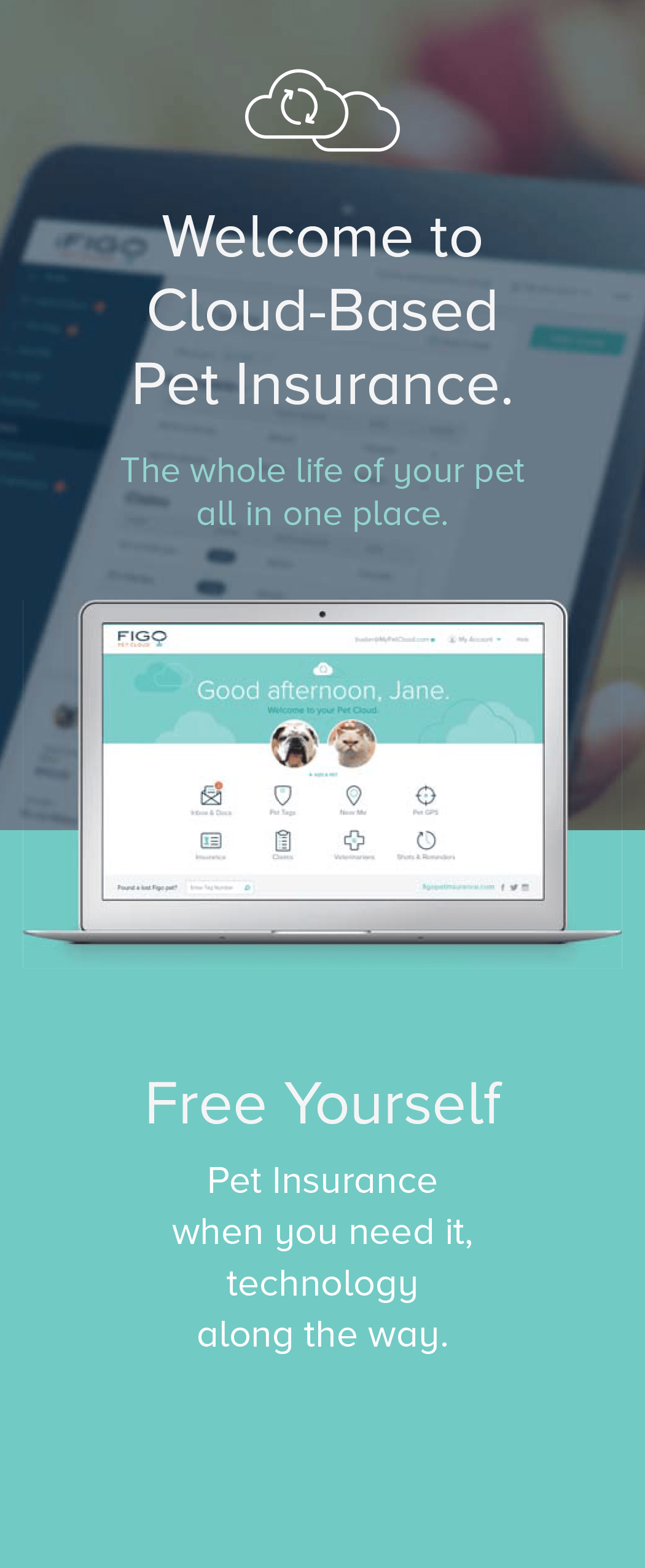 Pet Insurance for Dogs & Cats National Insurance Brokerage of NY