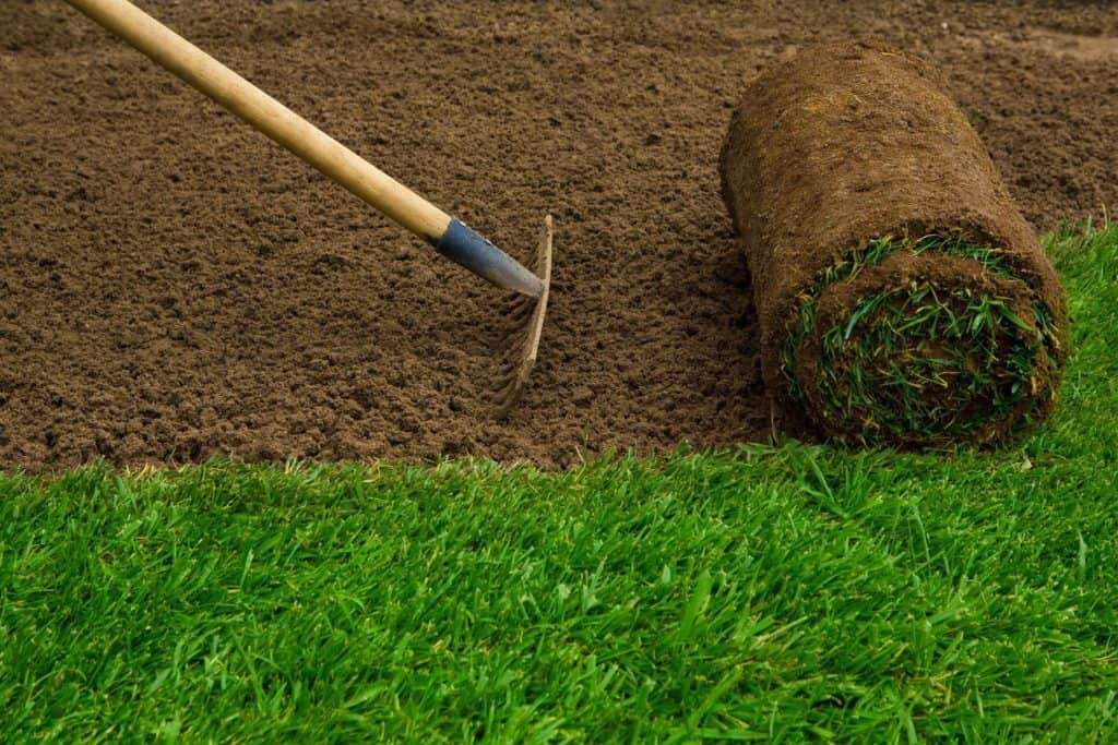 How to fix a Bumpy Lawn Nice & Precise Lawn Care Services
