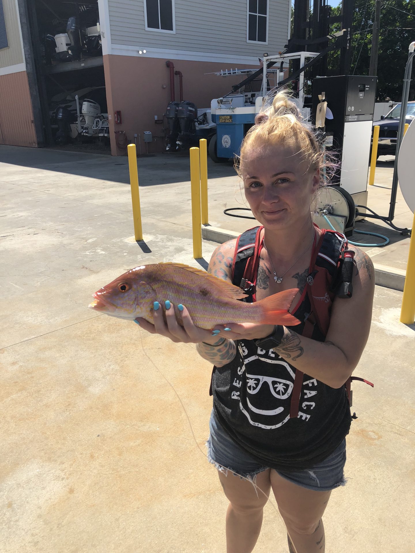 Photo Gallery Niche Fishing Charters Anna Maria Island Bradenton Longboat Key Florida