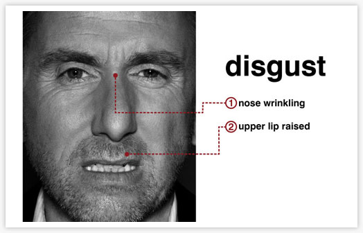 Show-don’t-tell cheat sheet: facial expressions | Nicholas C. Rossis
