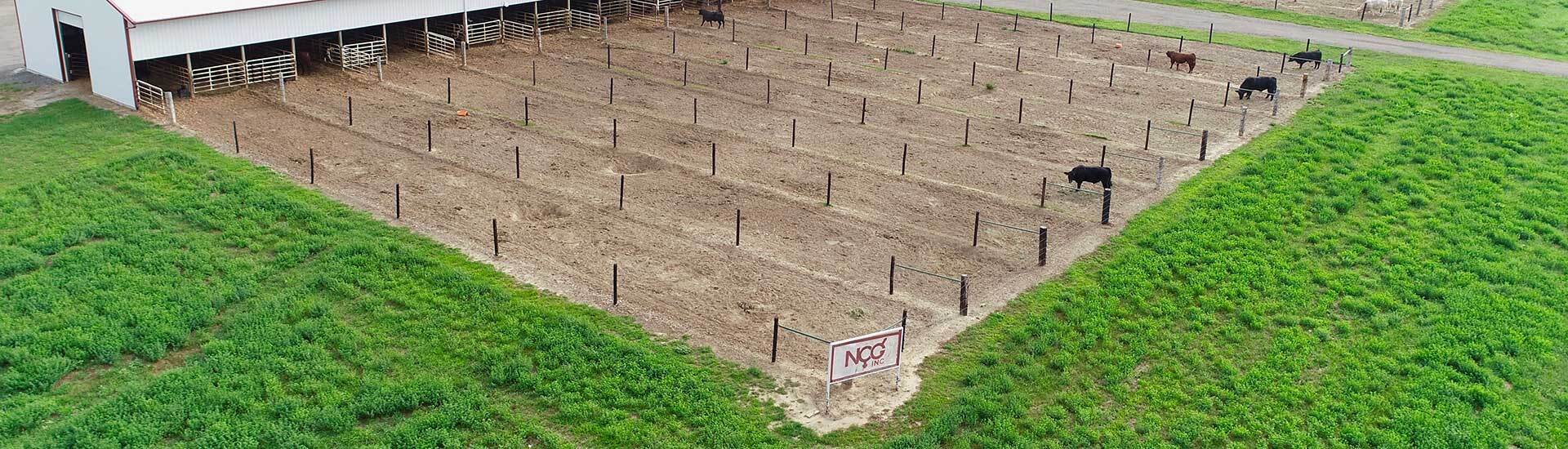 Contact Nichols Cryo