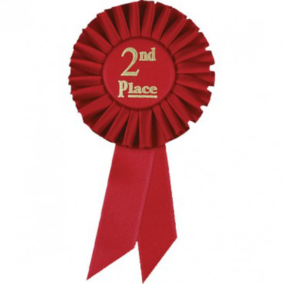 Leah Lessons from Second Place NicholsNotes