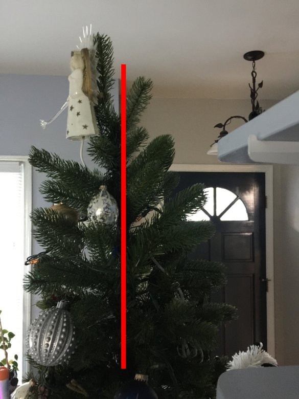 The Inclined Christmas Tree NicholsNotes