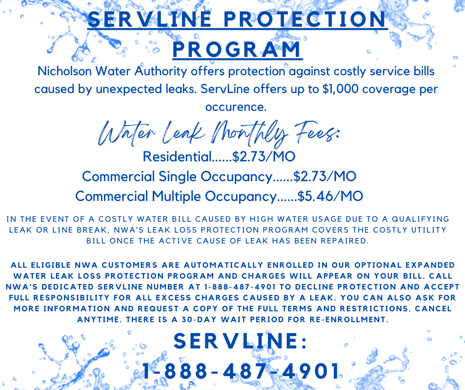 Nicholson Water Authority