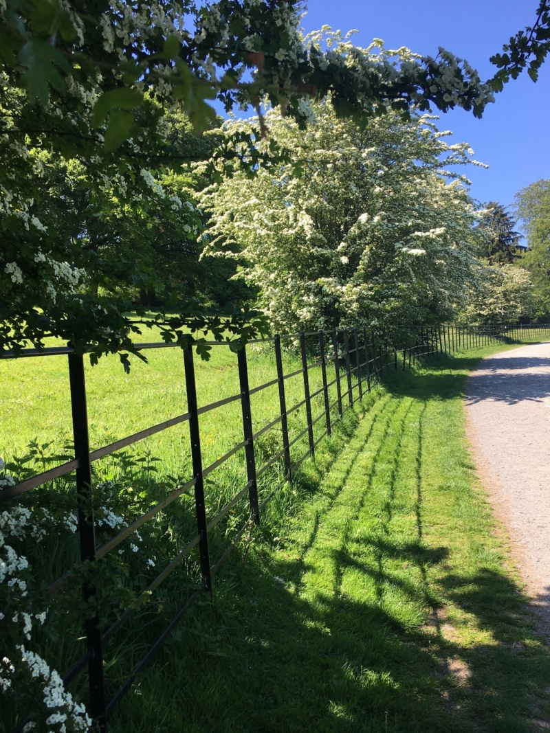 NICHS Six Beautiful Walks to Help You Stay Active