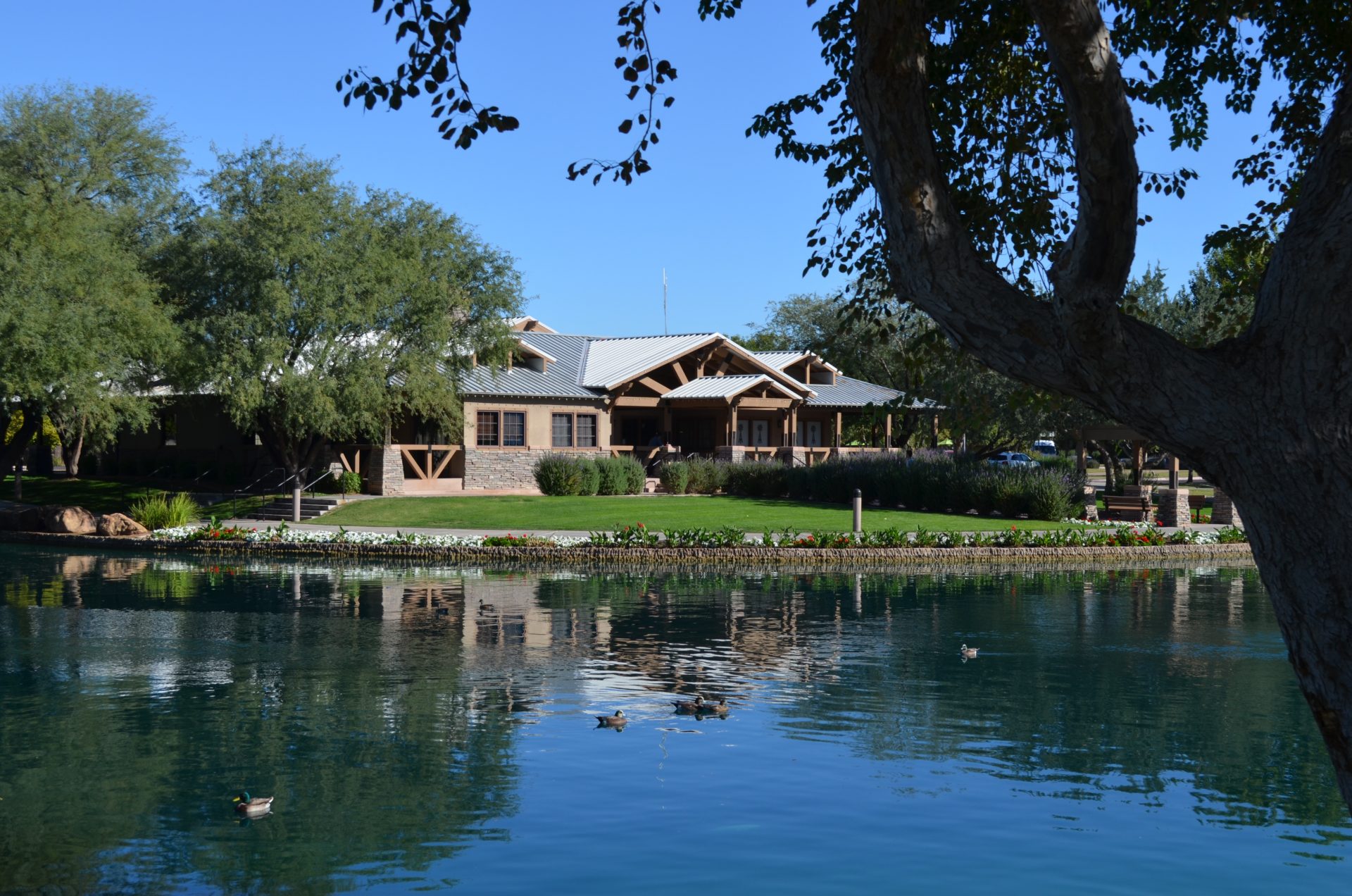 Power Ranch Gilbert AZ Tempe Real Estate Agent Nick Bastian 602