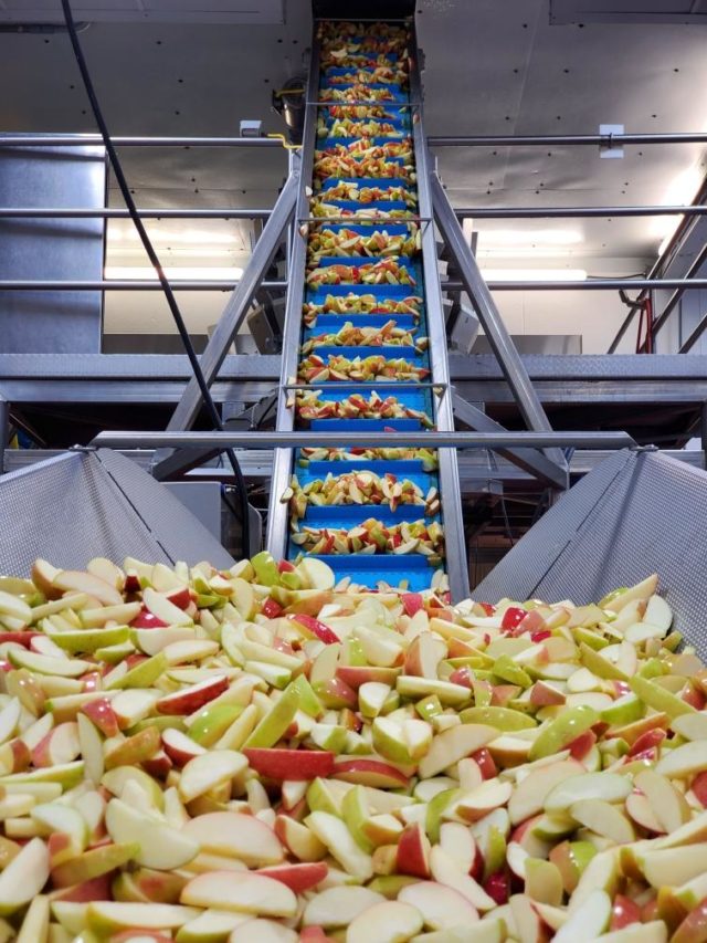 Sliced Apples Bin Nickey Gregory Company