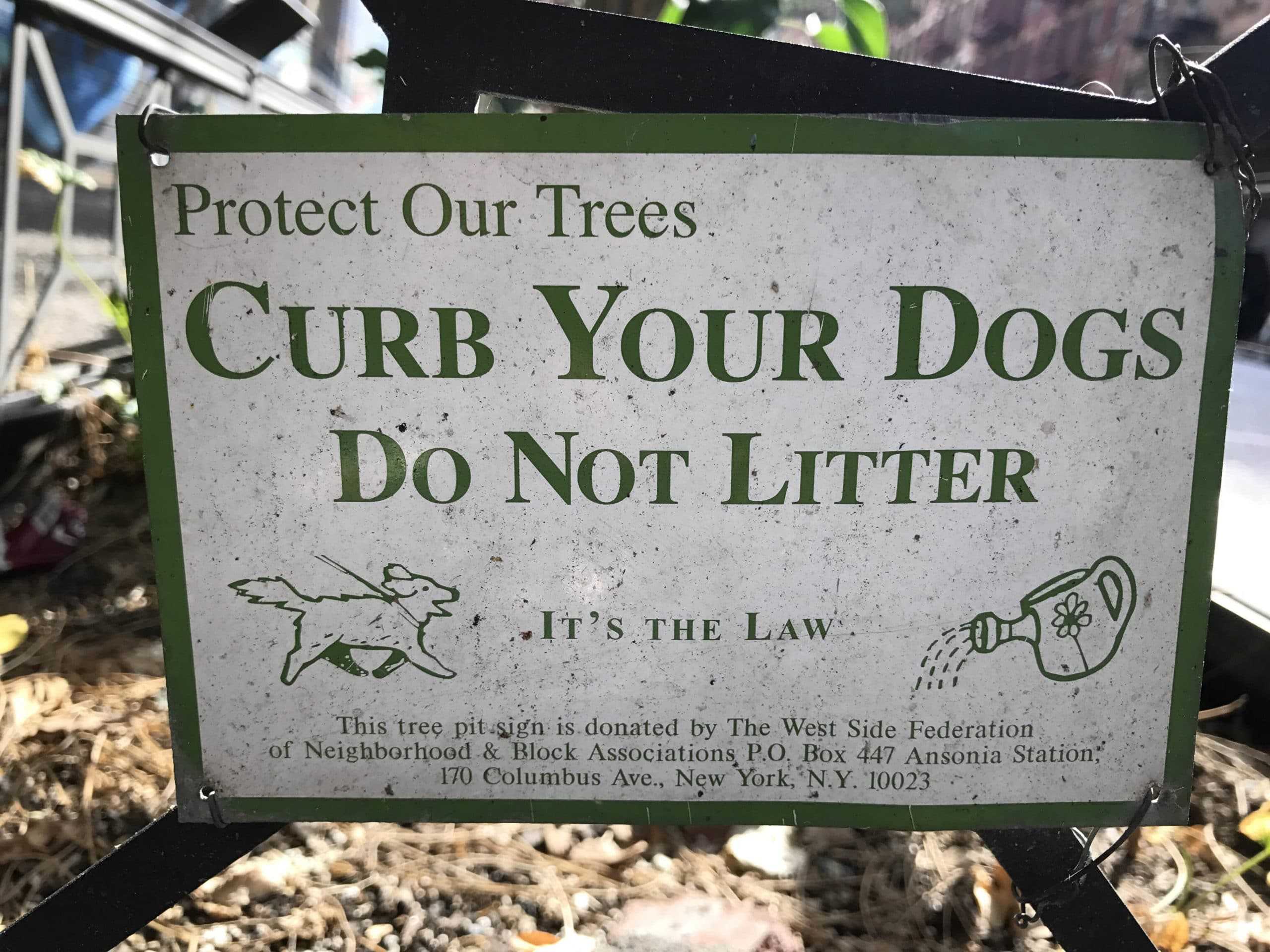 What does "Curb your dog" mean? Nick Gray