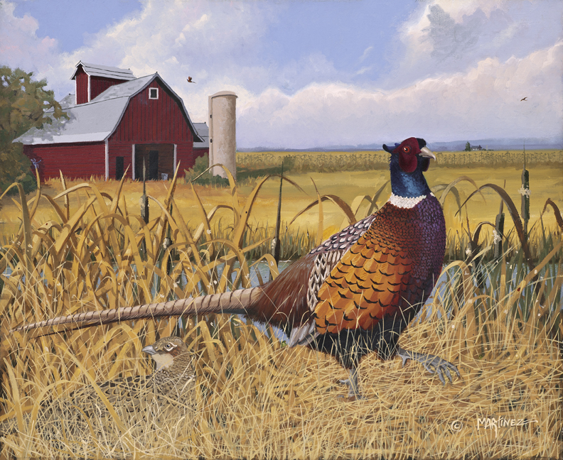 Pheasant Hunting Paintings