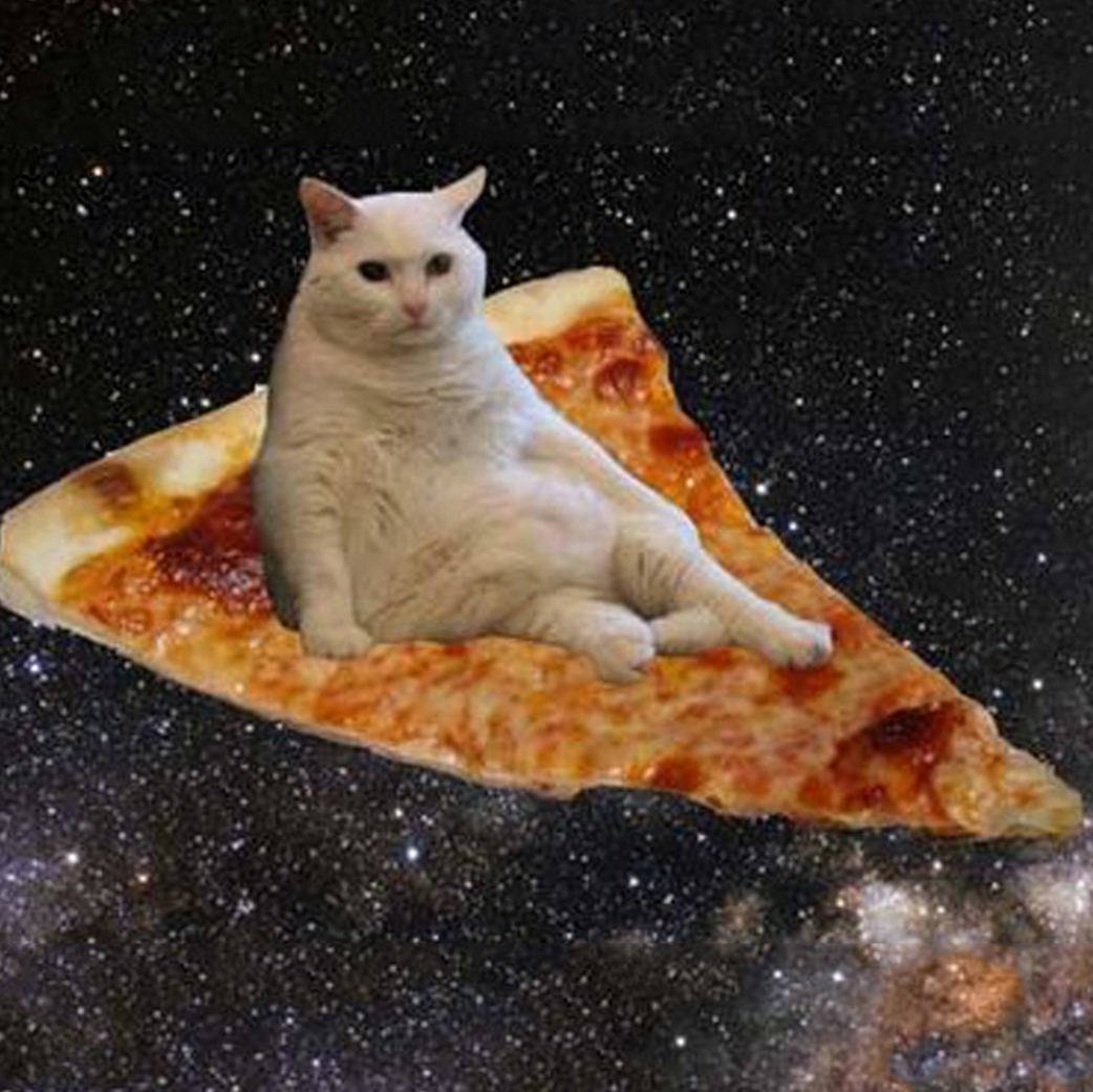 Pizza Cat Space