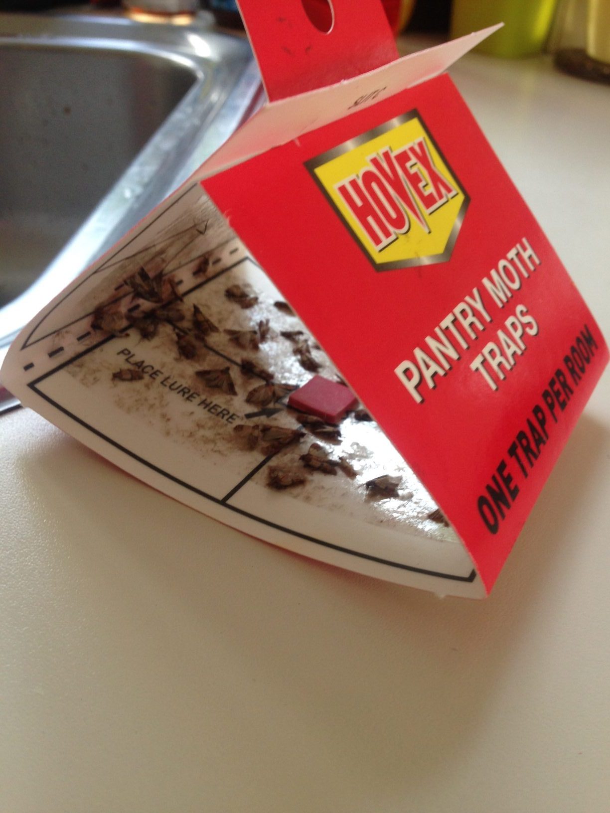 Piss off pantry moth