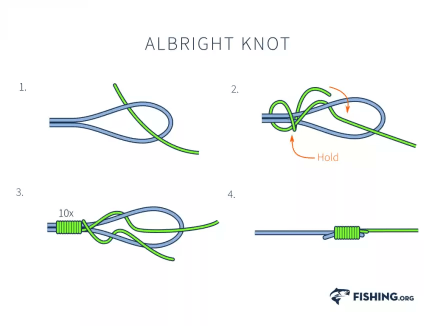 How to Tie Fishing Knots 7 Most Common Ones NicolaFishing