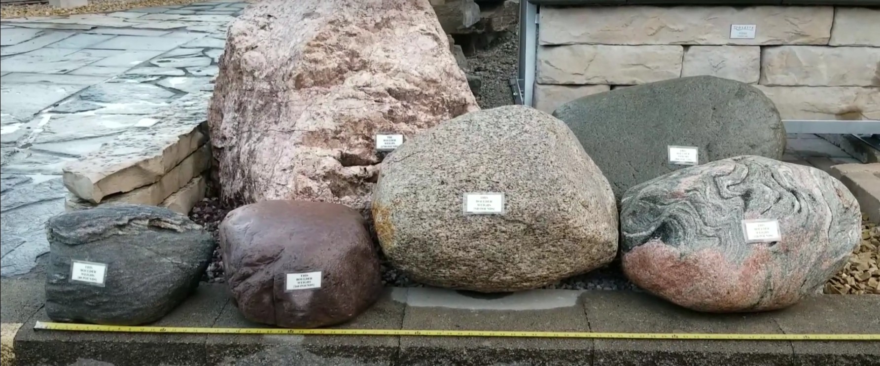 How to Protect Your Lawn from Cars