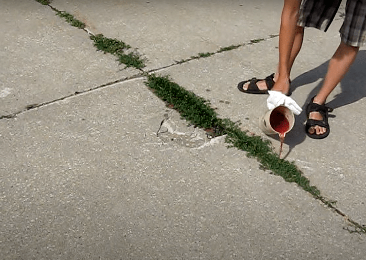 Does diesel kill grass?