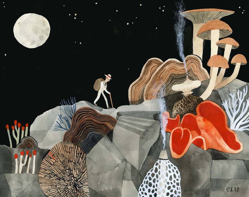 Carson Ellis Nicole's MuseuM