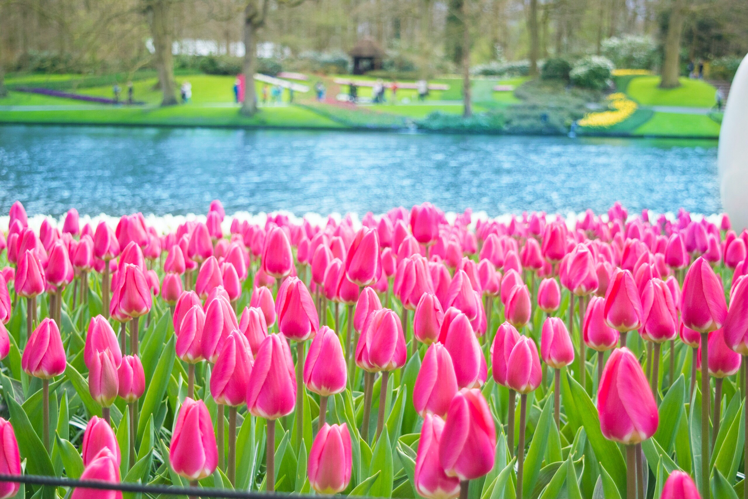 Keukenhof Best Time To Visit Keukenhof Tulip Gardens Tour In 2017