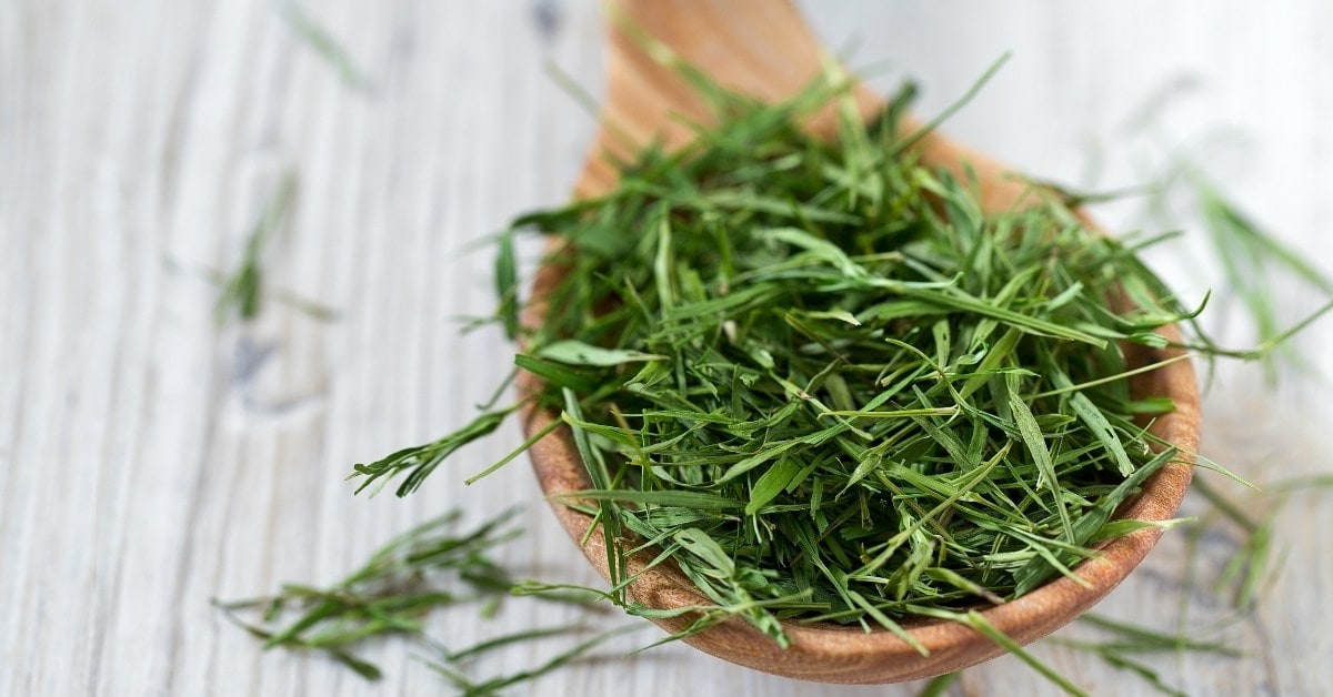 16 Proven & Powerful Bamboo Tea Benefits For Your Health