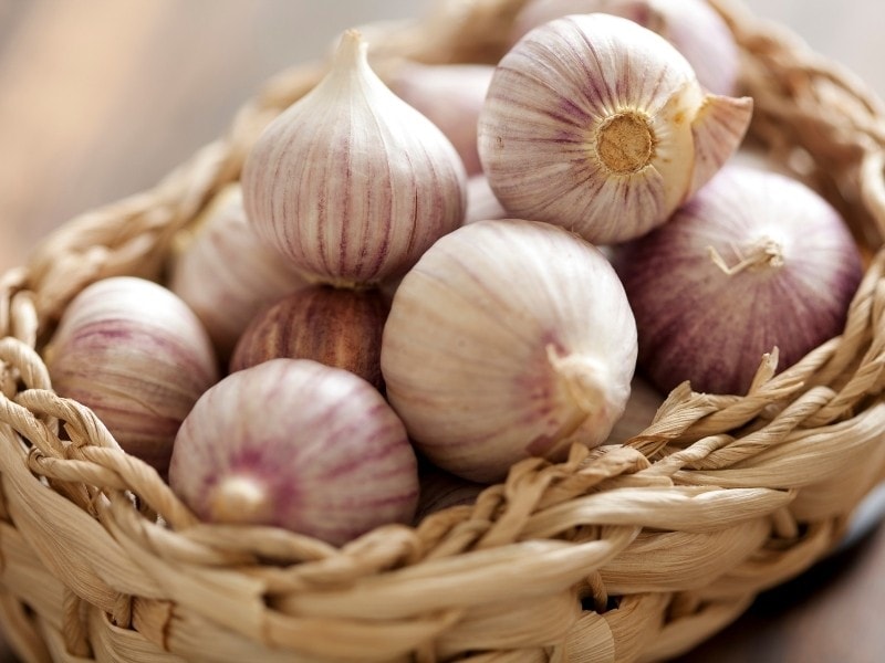 Surprising 6 Kinds Of Garlic Health Benefits Nifty Wellness