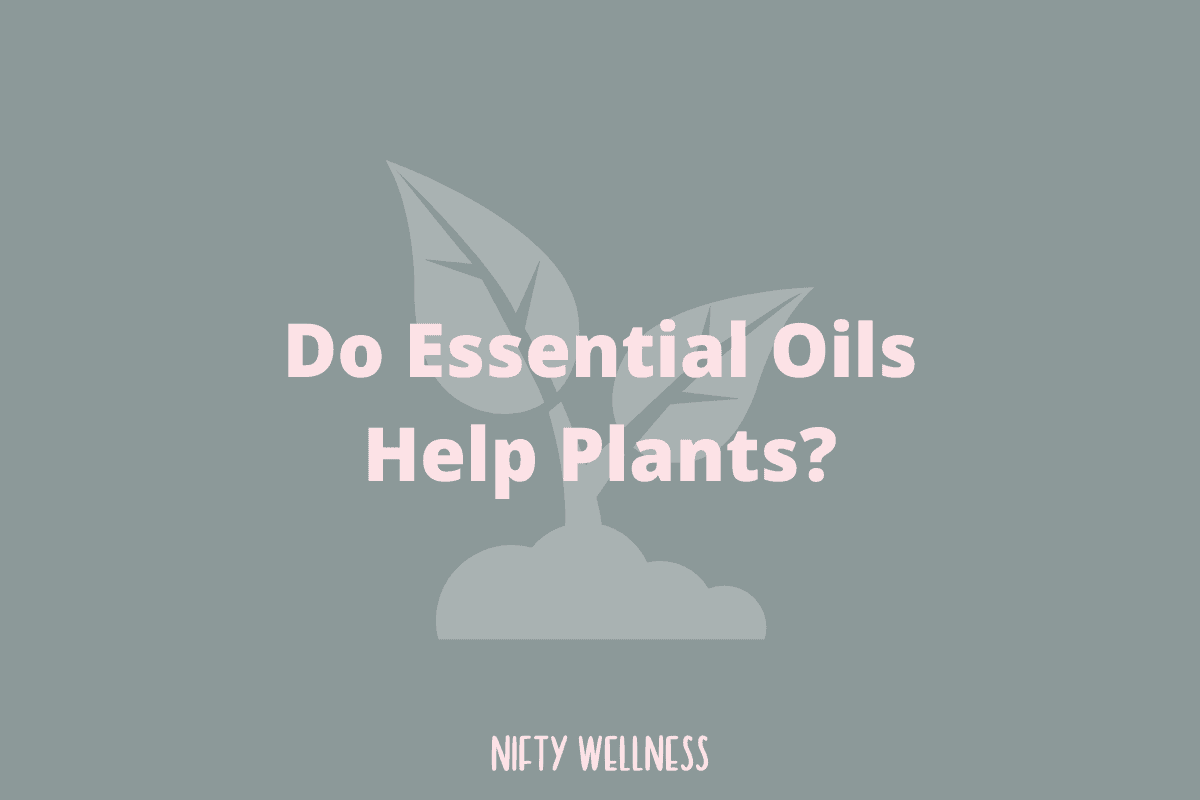 11+ Essential Oils For Plants Growth & More Nifty Wellness