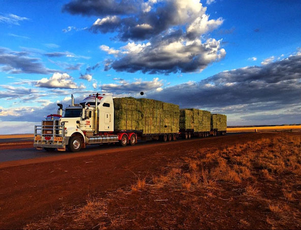 SERVICES NightHawk Transport