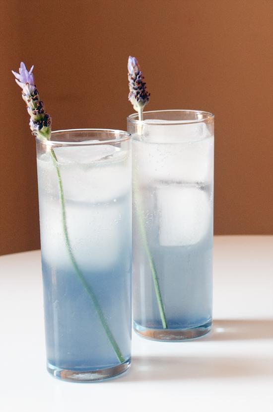 Une bouteille de vodka, 8 recettes inspirantes de drinks Nightlife