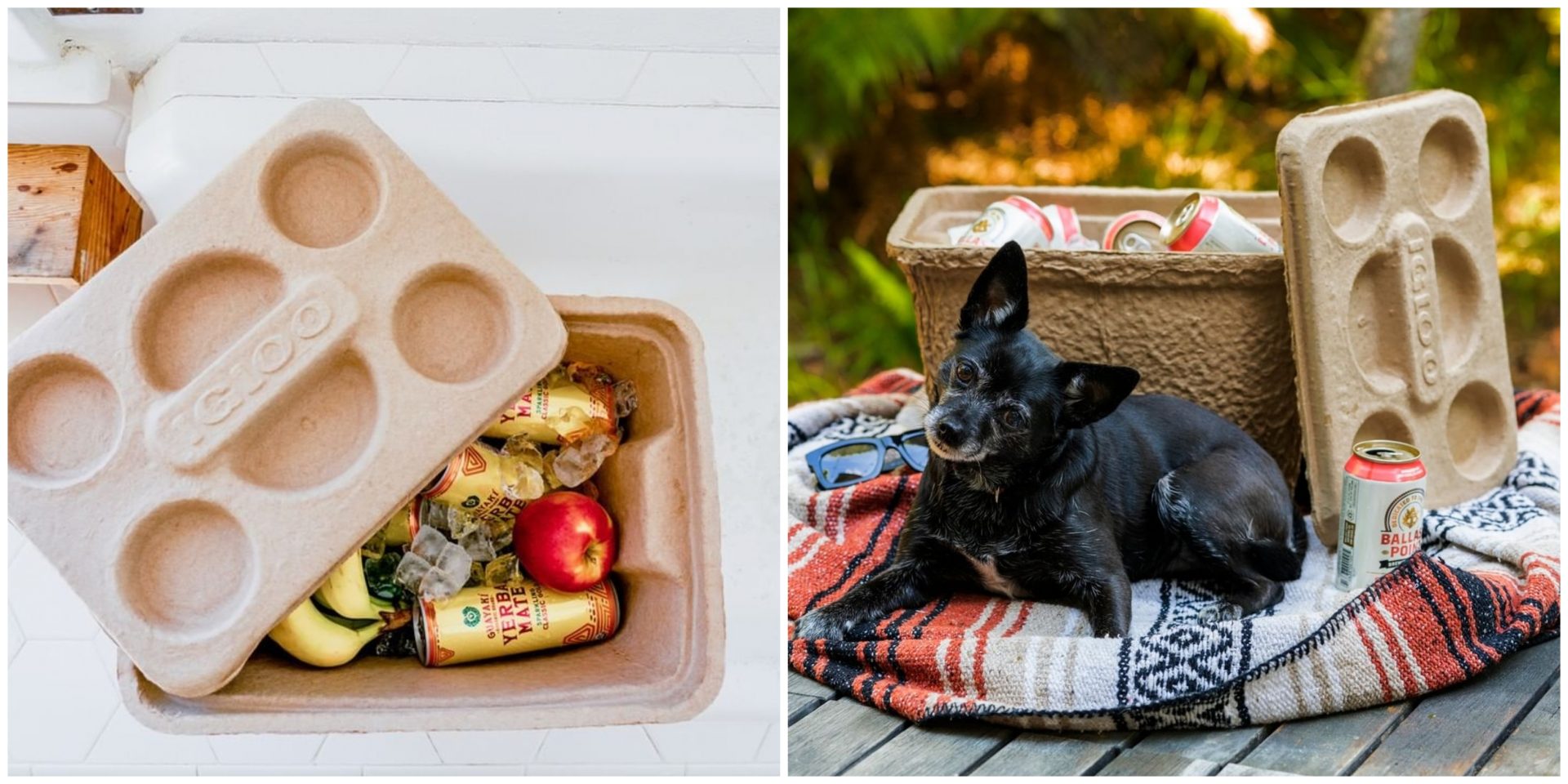 Une glacière écofriendly qu'on adore, à moins de 10! Nightlife