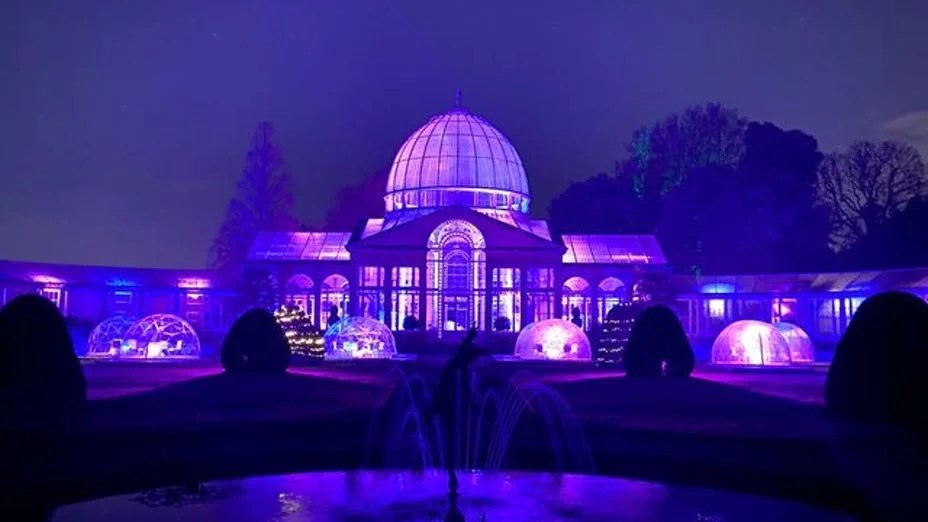 Syon House Igloos Nightscard