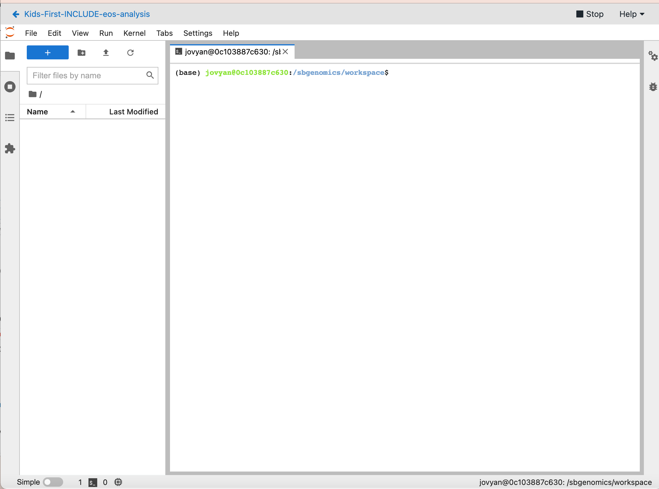 Using the command line Kids First & INCLUDE Elements of Style