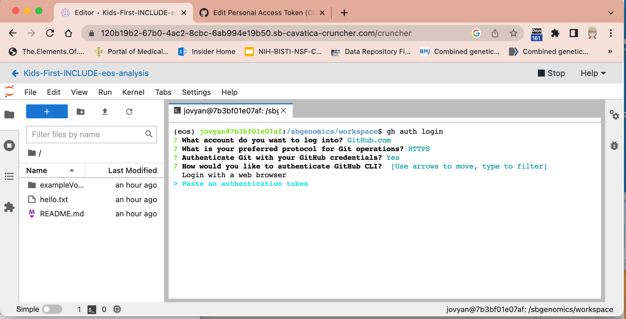 Github authenticate Kids First & INCLUDE Elements of Style