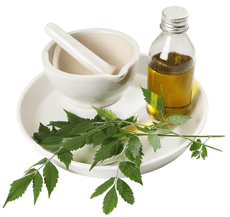 Niharti Neem Oil